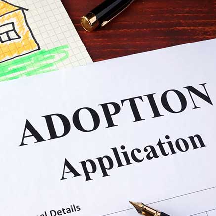 Adoption law practice