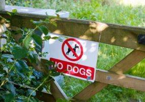 A wooden gate with a “No Dogs” sign, indicating a legal restriction on dogs in the area, emphasizing law compliance for public safety and property regulations. © Marathon Law Group